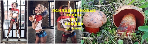 дурь Кинешма