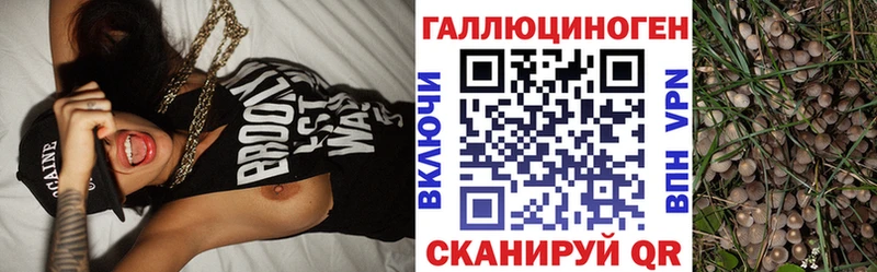 цены   Усмань  Псилоцибиновые грибы Psilocybe 
